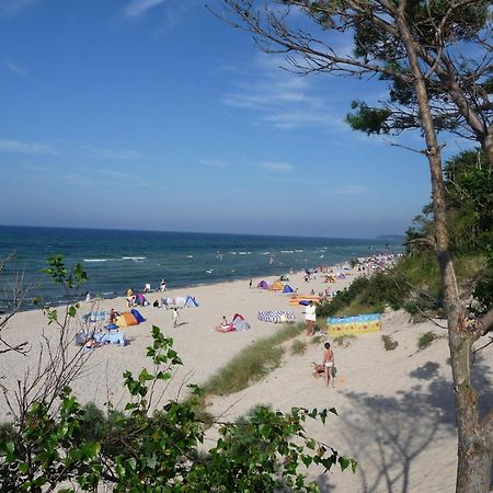 Bungalow Zur Boje, Bgl 19 Дранске Екстер'єр фото